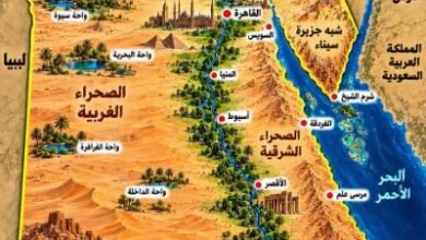 مصر-على-خريطة-العالم.-كيف-صنعت-الجغرافيا-ملامح-الدولة-المصرية؟