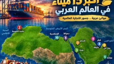 من-الخليج-إلى-شمال-أفريقيا.-موانئ-عربية-ترسم-مسارات-التجارة-العالمية