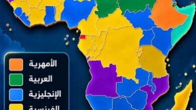إفريقيا-تتحدث-بمئات-اللغات.-كيف-توزعت-الإنجليزية-والفرنسية-والعربية؟