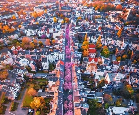 مدينة-ألمانية-صغيرة-ارتبط-اسمها-بالعاصمة-والأمم-المتحدة-والكرز